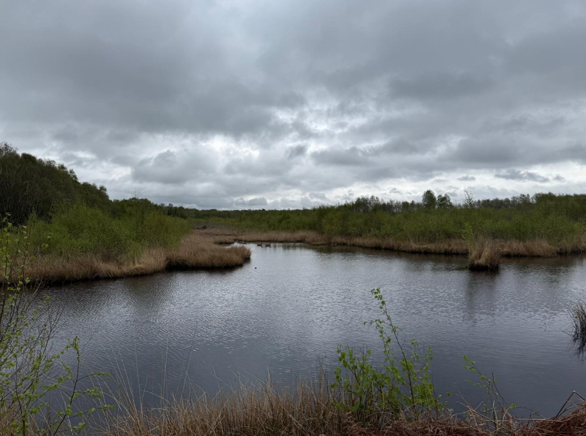Boosting Biodiversity - Risley Moss Bee Project (2)